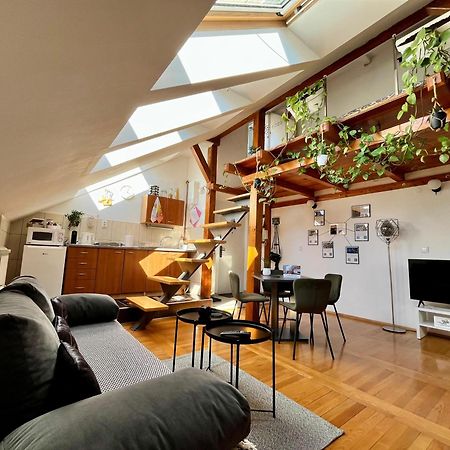 Captain Misha'S Place Beograd Ngoại thất bức ảnh