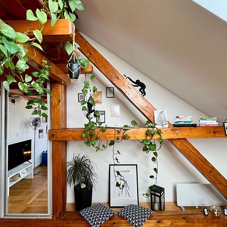 Captain Misha'S Place Beograd Ngoại thất bức ảnh