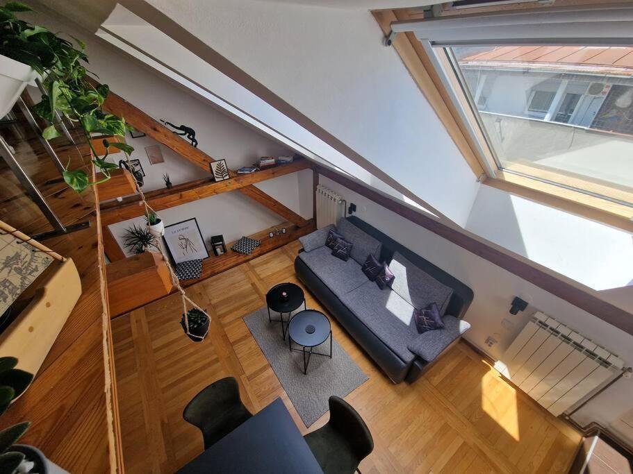 Captain Misha'S Place Beograd Ngoại thất bức ảnh