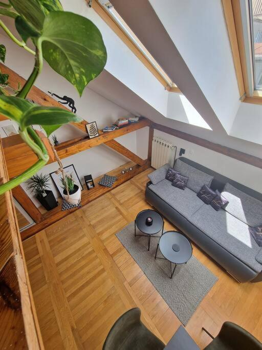 Captain Misha'S Place Beograd Ngoại thất bức ảnh