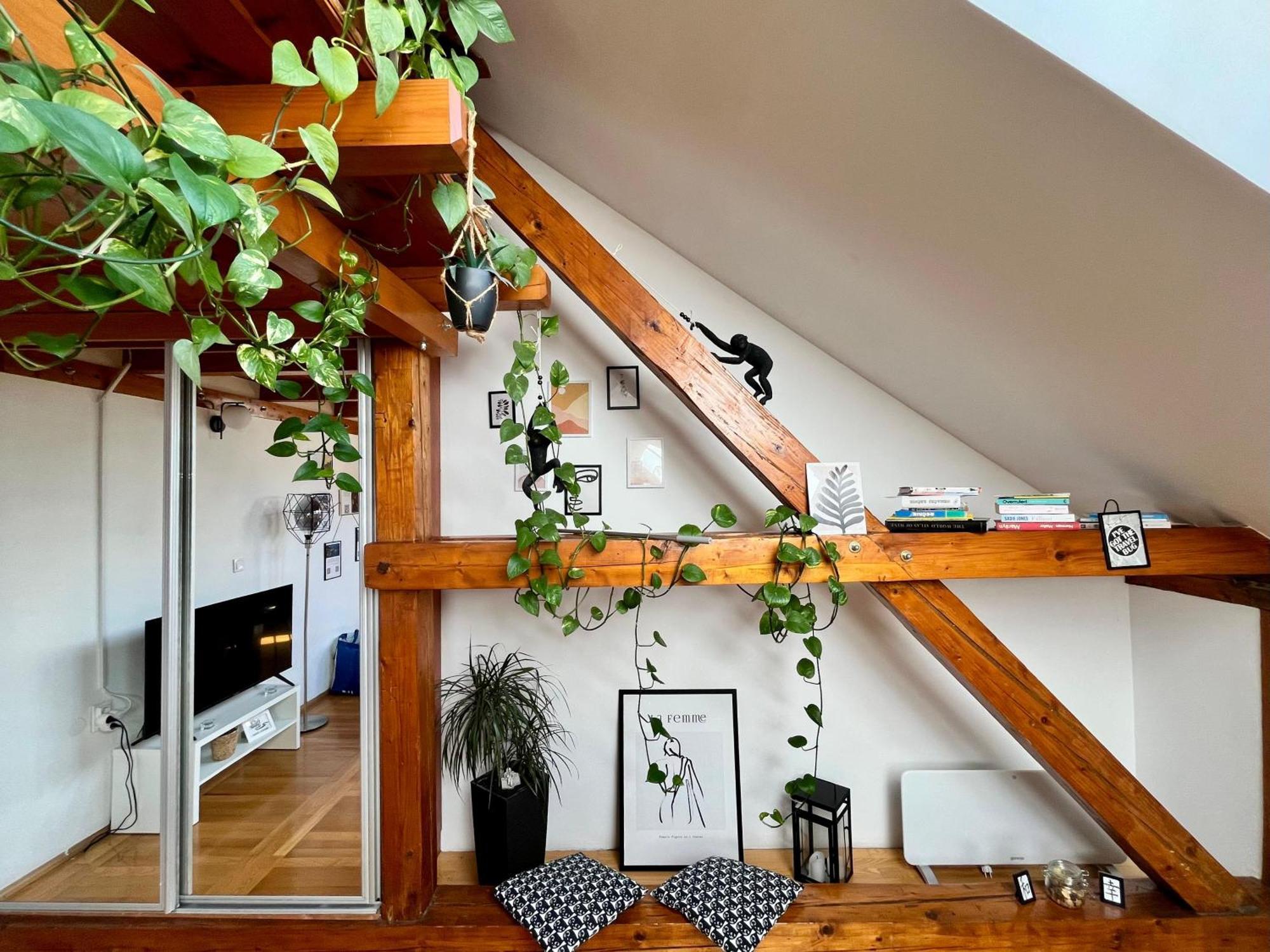 Captain Misha'S Place Beograd Ngoại thất bức ảnh